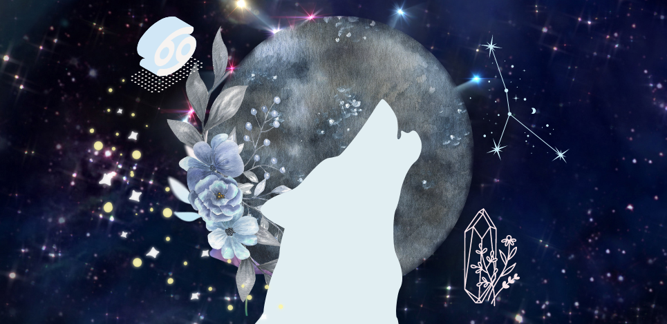 Wolf Moon 2023: Emotional Healing and Strengthening Family Bonds