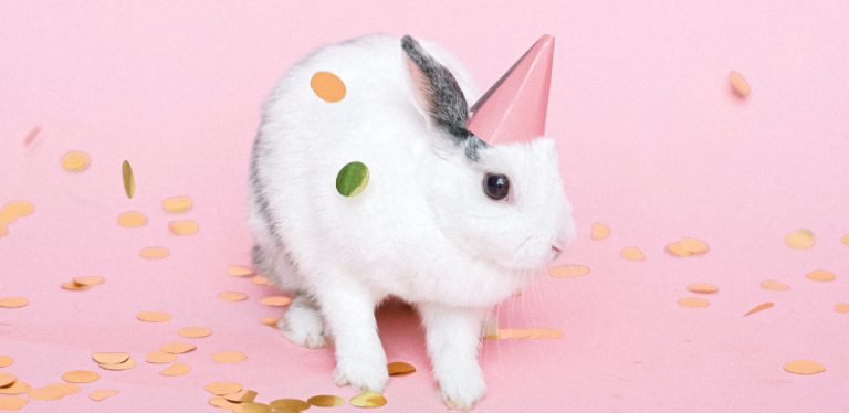 Chinese New Year 2023: Embracing the Energy of the Year of the Rabbit