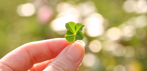 Are Four-Leaf Clovers Actually Lucky?